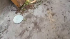 Мотороллер Вятка-3 Электрон (видео перед реставрацией)