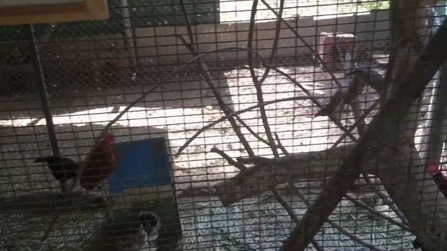 Кибуц Гиват Хаим / Путешествия по Израилю смотреть онлайн