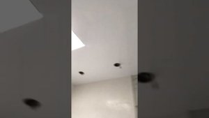 Натяжные потолки Часть 2.Дом с электрическими обогревателями в натяжном потолке.Зал 8*4 без швов