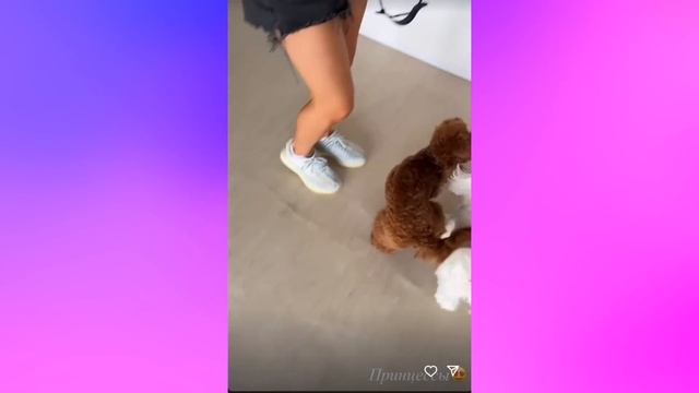 Леди Диана стала копией своей мамы смотреть онлайн