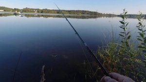 Спиннинг с берега. Окунь на ратлин.  Окунь на джиг.  Щука на джиг. Рыбалка на вертушки.