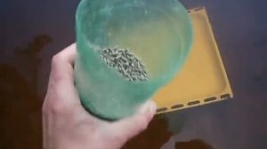 Чем кормить карпа?