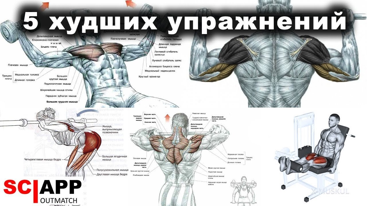 5 Худших Упражнений, Которые Гробят Ваше Здоровье