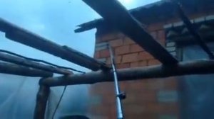 ловля шершней пылесосом hornets and vacuum cleaner