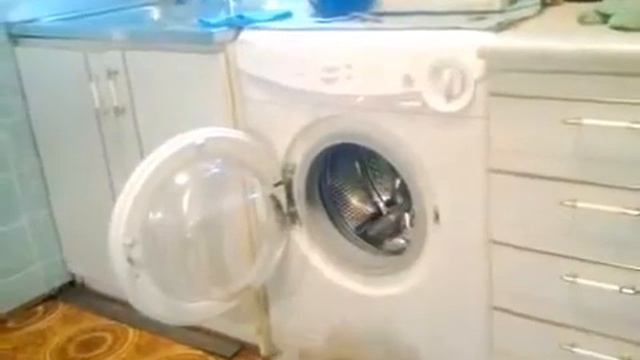 ADORABLE YORKIE & WASHING MASHINE ! Прикол - смешной йоркширский терьер и стирка смотреть онлайн