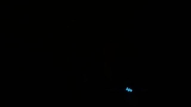 Рассказываем про отлов животных и делимся новостями приюта!