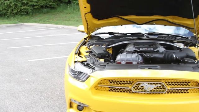 2015 Ford Mustang SHERROD GT Triple Yellow Tri-Coat смотреть онлайн