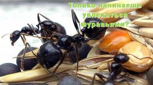 Блог для киперов - новичков или советы киперам