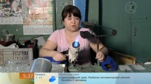 Возьмите меня в стеклодувы стеклодув александр дворцевой