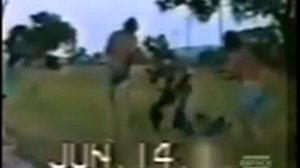 LiveLeak.com - Woman Orders Pit Bull To Attack Animal Control Officer.flv