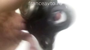 Шаровая опора с болтами Рено Трафик 2, Лагуна 2