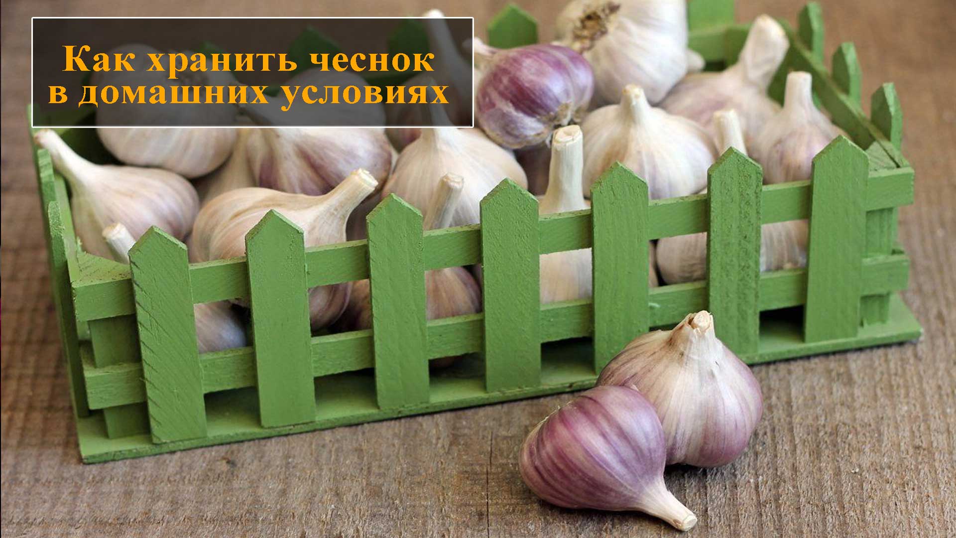 Чеснок. Хранение чеснока в ящиках. Зимний чеснок. Чеснок домашний.