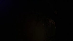 Дикая природа Германии  Центральная Германия