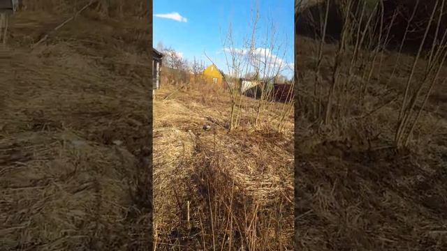 Купить участок в Солнечногорском районе д. Мошницы.  Продажа участков в Солнечногорском районе.