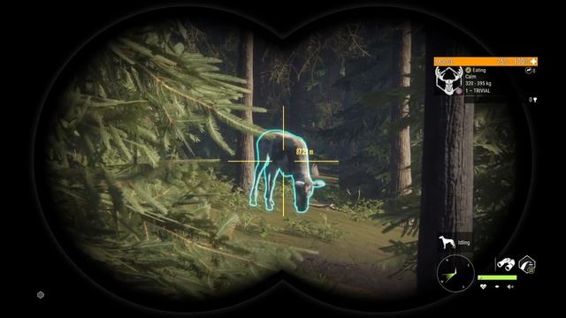 First Hunt with Bloodhounds in Call of the Wild! смотреть онлайн