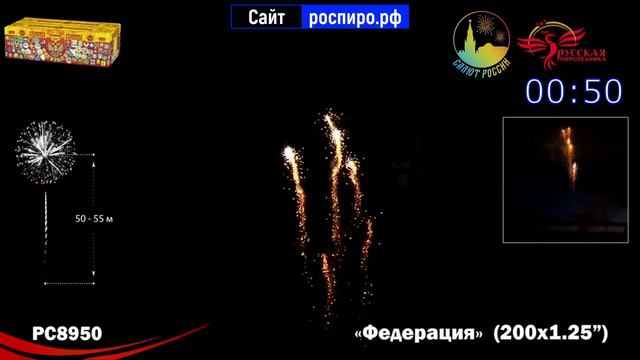 салют федерация