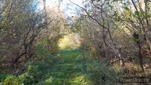 Отшельник по собственному желанию|Из столицы на зимовку в глушь|Счастливые люди|