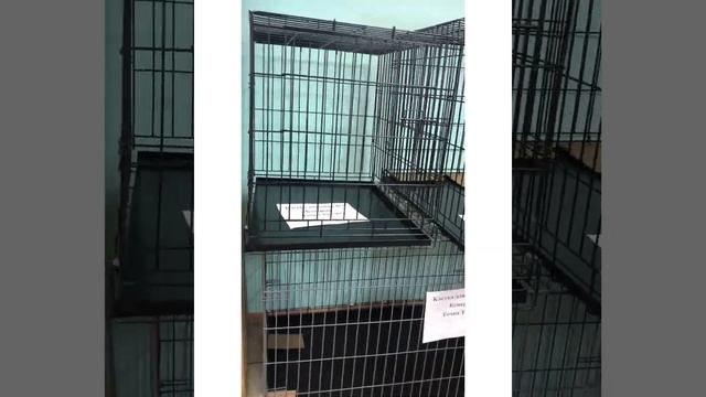 Клетки для собак г. Кемерово смотреть онлайн