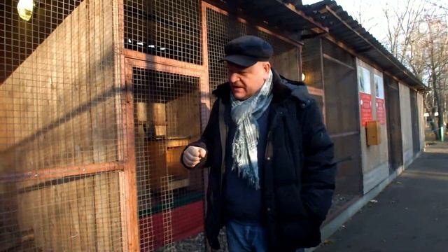 Орнитарий в Сокольниках