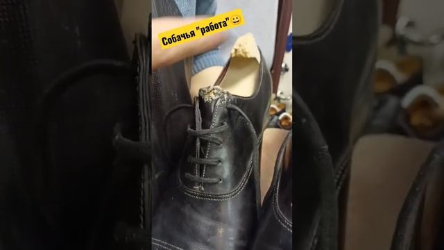 #ремонтобуви #юриймастер #рекомендации смотреть онлайн