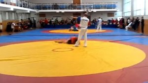 самбо соревы