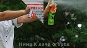 Мошкара: КАК БОРОТЬСЯ С МОШКОЙ И КОМАРАМИ? Как снять припухлость и кожный зуд при укусе