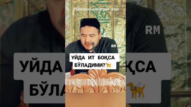 уйда ит бокаса боладими? Шукуруллох дом