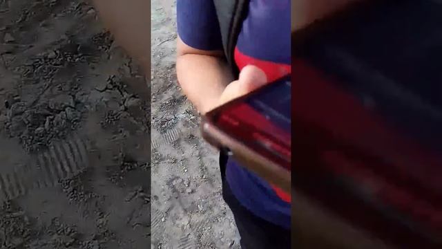 Челлендж (ложный звонок №2)! смотреть онлайн