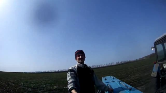 Подкормка озимой пшеницы и ячменя аммиачной селитрой.Сеялка СЗ-3,6, трактор #МТЗ_82