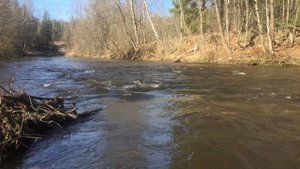 Река Систа Ленинградская область Весна.