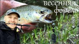 Весенняя ФОРЕЛЬ в Ленинградской области!