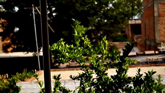 Canon EOS Rebel XS test video HD смотреть онлайн