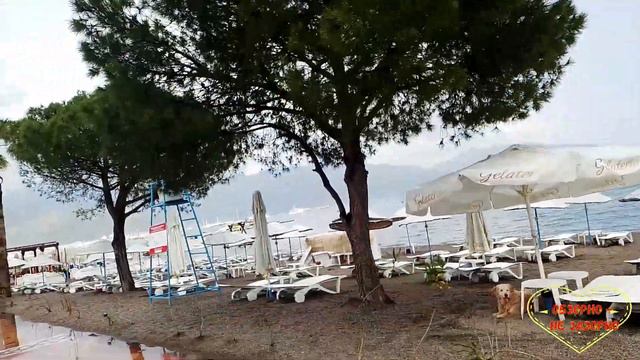 Ольга Валерьевна. Язык её - враг её. 23 06 2023 ОВ