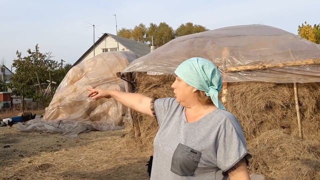 Хотим московскую зарплату! На хозяйстве в хуторе смотреть онлайн