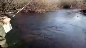 Ловля хариуса река Самара ЕАО
