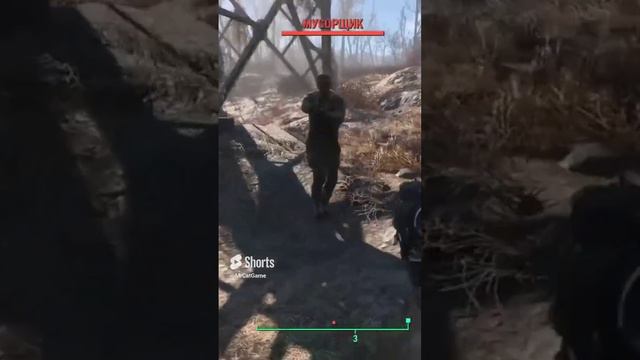 Редка случайная встреча в Fallout 4.