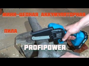 Мини-цепная аккумуляторная пила PROFIPOWER, обзор и испытания.