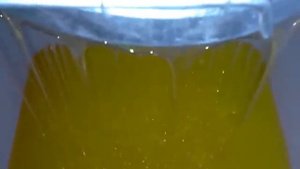 Разведение пчёл в Белгородской области 3, популяризации пчеловодства в России.