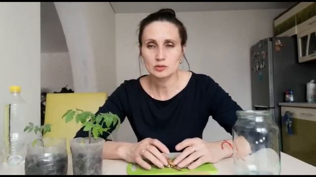 Подкормка для рассады. Вернулся ли хомяк? смотреть онлайн