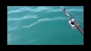 Акулы нападают Shark attack. Самые Страшные и Опасные!