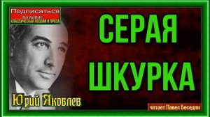 Серая шкурка —Юрий Яковлев— читает Павел Беседин