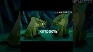 шензи vs банзай