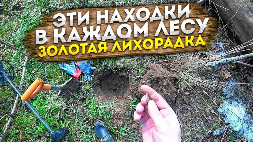 Эти находки в каждом лесу. Золотая лихорадка.