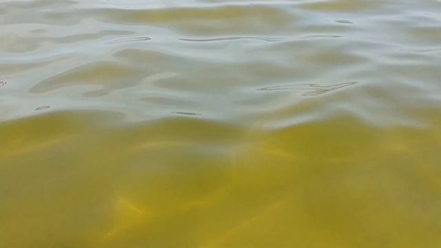 БАЛТИЙСКОЕ МОРЕ В АВГУСТЕ 2022#Латвия#море#теплоебалтийскоеморе#Юрмала