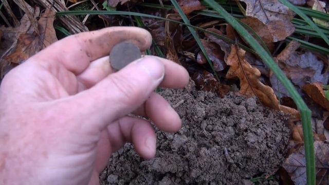 К ЛЕСНЫМ ПРУДАМ. смотреть онлайн