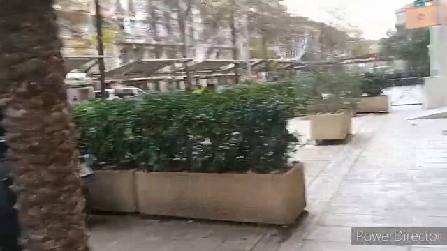 #ОРХИДЕИ и не только: медицина,беру рандеву,чаевые...😉🤓🤩 смотреть онлайн