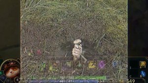 РАСКРЫТА ТАЙНА ДОБЫЧИ ГРИБОВ ТИМО! (Катамаранов в Лиге Легенд)