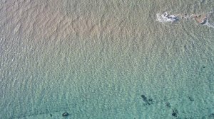 Αρτεμις (Артемис) 05.05.2024