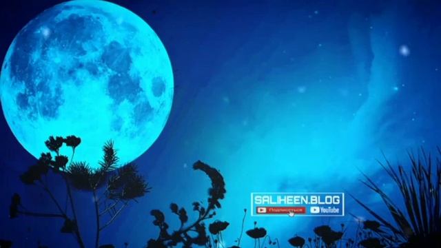 Послушайте перед сном! УспокоениеДуш.красивая чтения Куран.Абдурахман масъд #ислам Abdurahman Moses