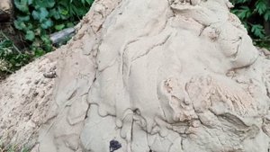 4 абиссинской скважины за 2 дня д Захарово Муромский район . хорошая вода часть 1